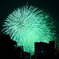 夜空を彩る大輪