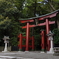 弥彦神社にて③