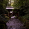 弥彦神社にて⑤