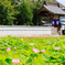 長照寺