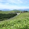 車山高原。
