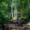 山深き神社