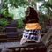 ダラム・アグン寺院の祠