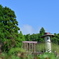 草原の先客