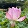 エキスポ70'日本庭園
