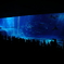 美ら海水族館5