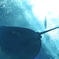 美ら海水族館6