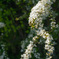 DSC00926