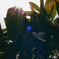 DSC00970-2