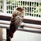 目、パッチリ
