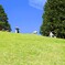 初夏でのひととき