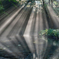 reflection