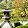 雨の兼六園