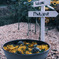 Photo spot→