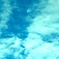 朝の月・・・