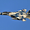 2025AGGRESSOR_82-8093_22