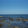 日本海