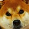 残暑お見舞い申し上げます