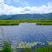 尾瀬ヶ原②