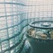国立新美術館