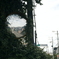 DSC_1595