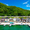夏の総天然色