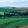 FL010031