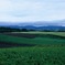 FL010033