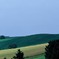 FL010035