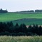 FL010036