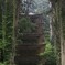 神域の塔