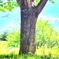 夏の日差し