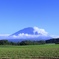 澄み渡る青空