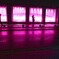 Pinky Night