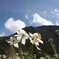 2012年8月穂高連峰