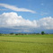 見渡す限りとはいかないが