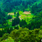 棚田