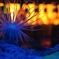 Blue glowing aquarium