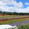 高原
