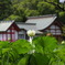 水沼神社 (湖水が池) - ②