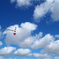 晩夏の空へ