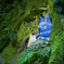 NAS_3147 (1)