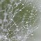 雨を切り取ってみた