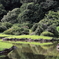 小石川植物園