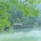 小雨と朝霧