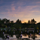 徳川園夕涼み 2025 ①