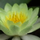 淡き光に抱かれて