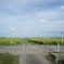 田園風景　DSC00786