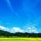 夏色