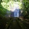 光に包まれる森の滝
